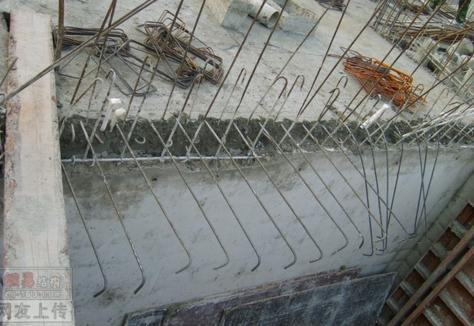 综合一区无套内射中文字幕