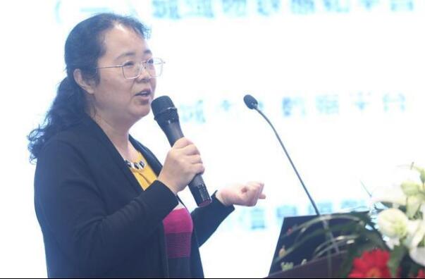 综合一区无套内射中文字幕